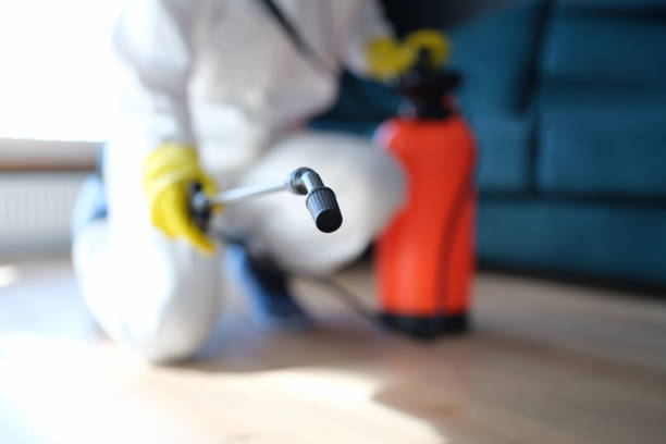 Best Biohazard Mold Removal  in Hillandale, MD